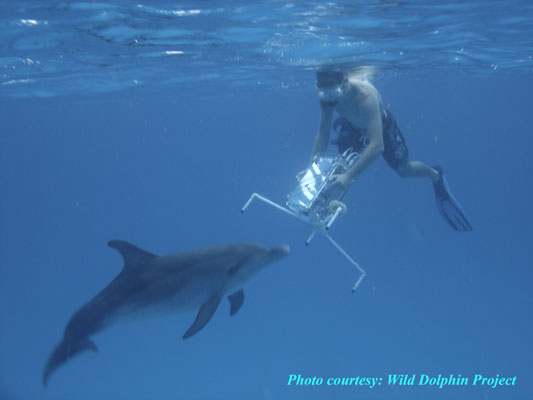 Close encounter of the fifth kind