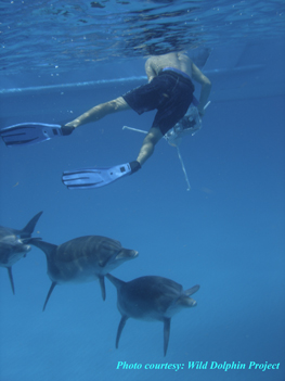 The three musketeers